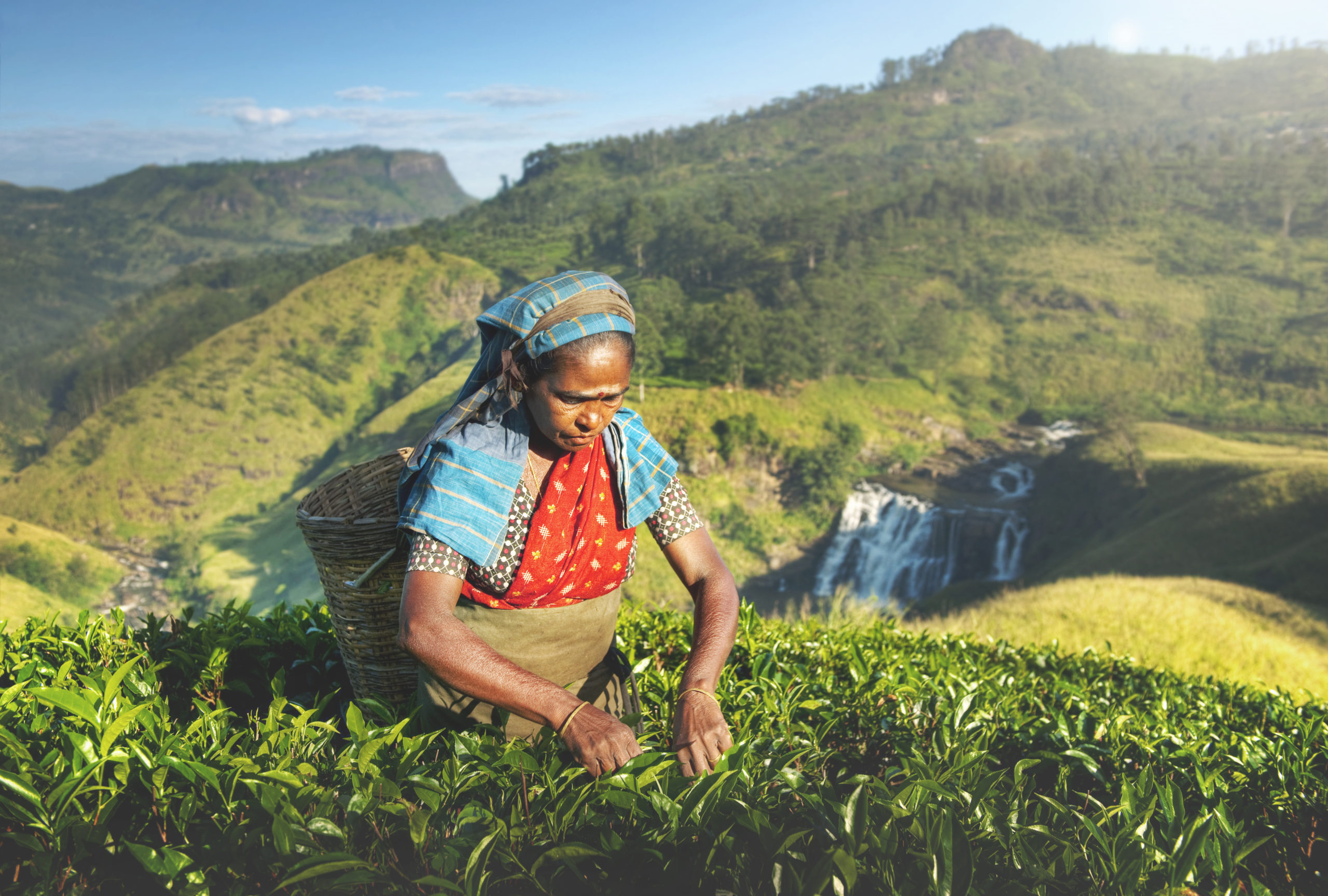 Unlocking Sri Lanka’s Export Potential with Supply Chain Finance