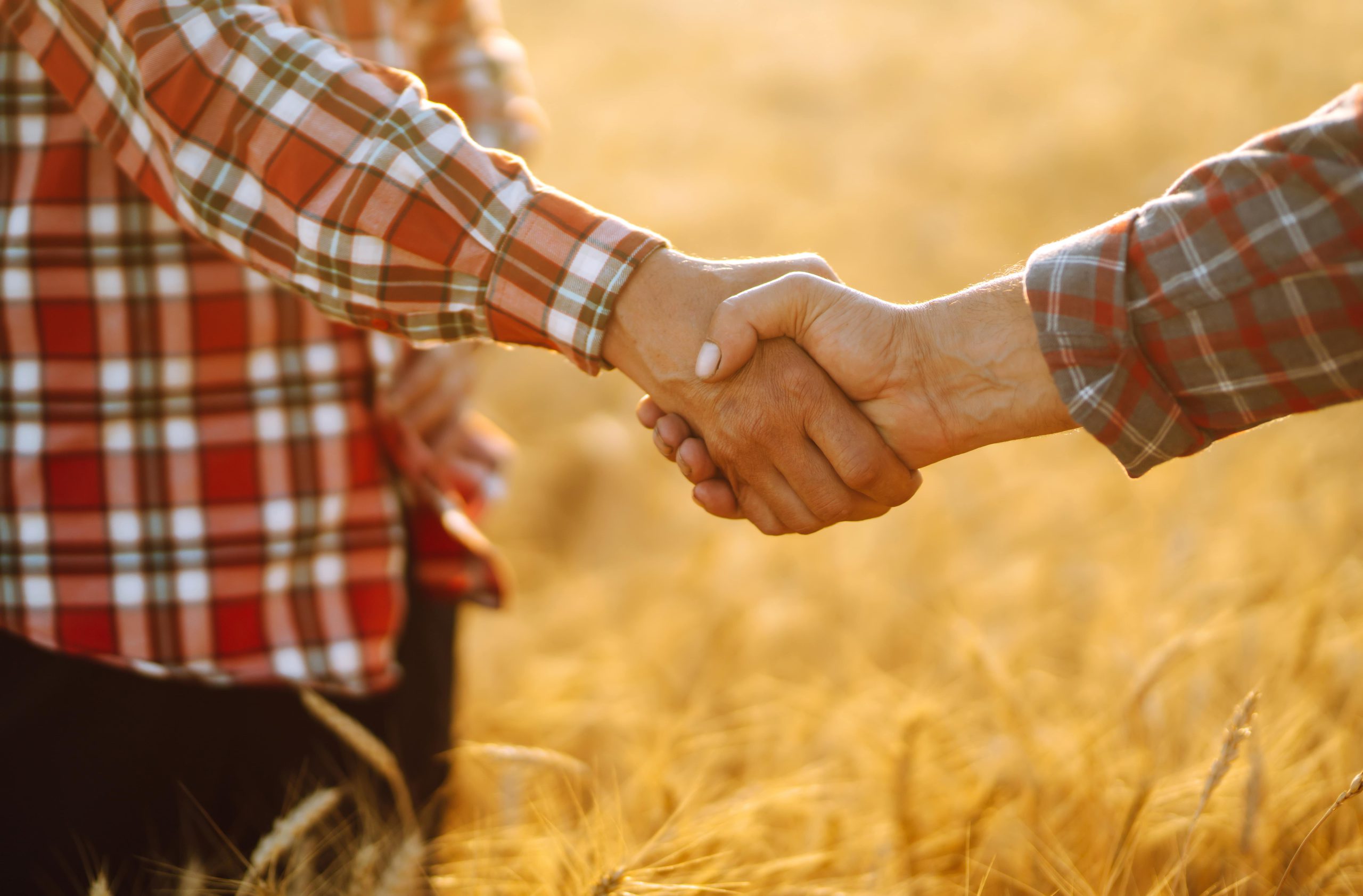 Can You Grow Without Taking on More Risk?